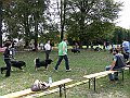 img 123
